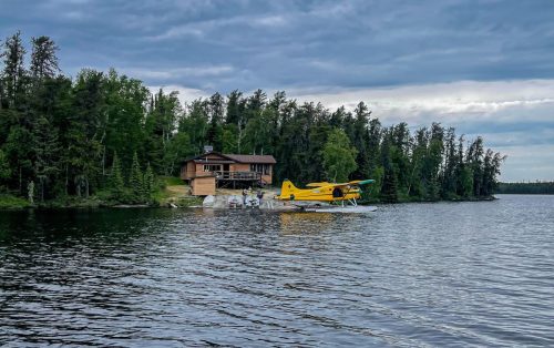 Photo 2022-07-04, 14 20 20