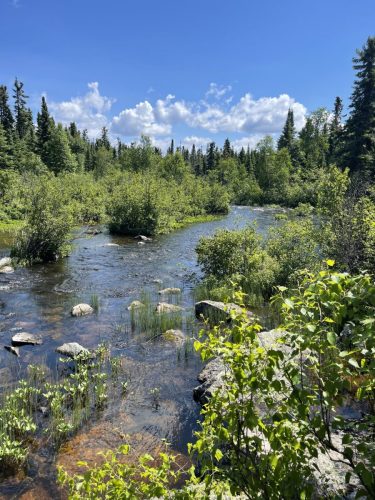 Photo 2022-07-07, 11 58 05