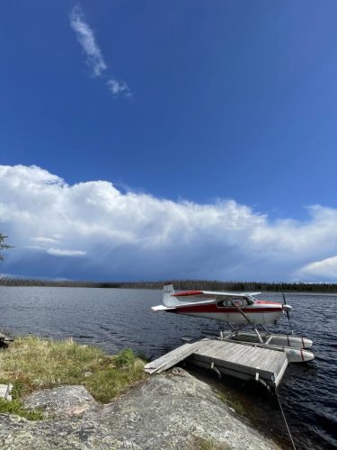 Photo 2024-06-01, 15 50 22